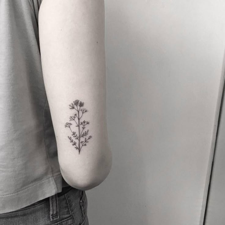Botanical fine line tattoo featuring a delicate plant on the back of the elbow area, ideal for back of the arm tattoo inspiration.